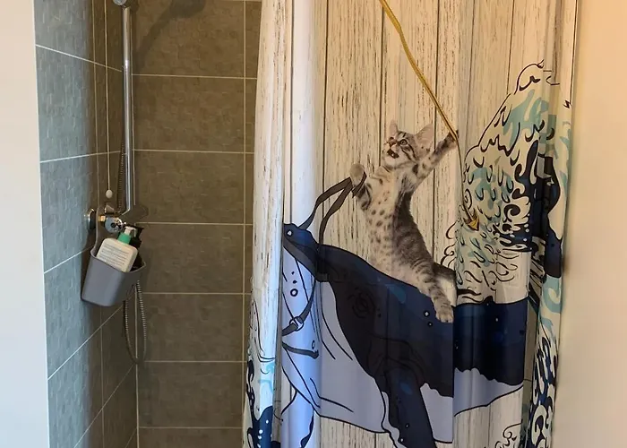 Studio, Close To Paris Daire *